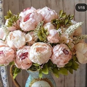 Meet your Posher, Bella 🌺